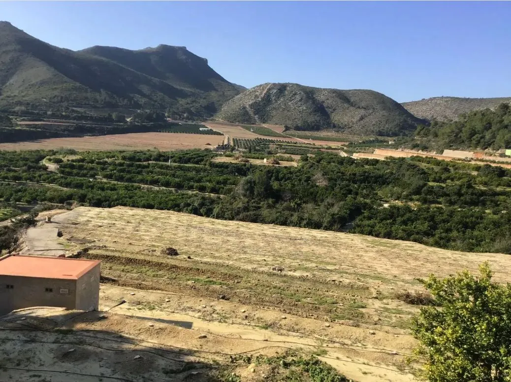 TERRENO EN ADOR CON PARTE URBANIZABLE