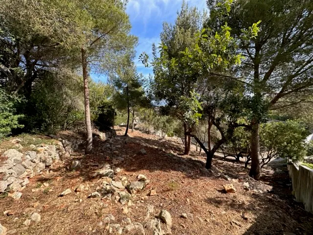 Parcela Urbanizable con vistas al Mar Denia