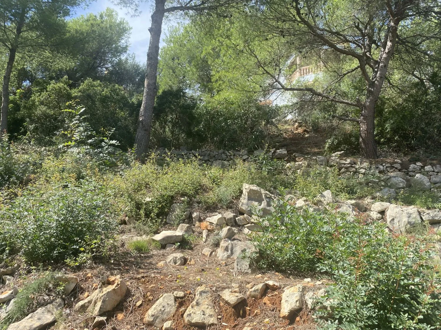 Parcela Urbanizable con vistas al Mar Denia