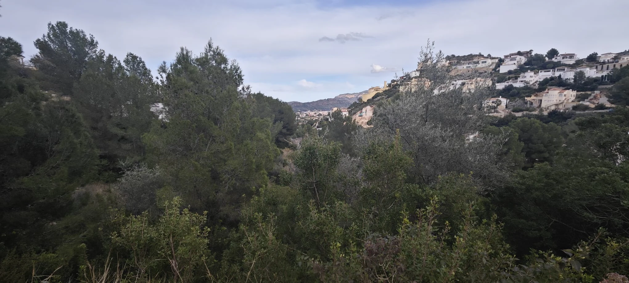PARCELA URBANIZABLE DE 1.061m2 EN MONTESOLANA "PEDREGUER"