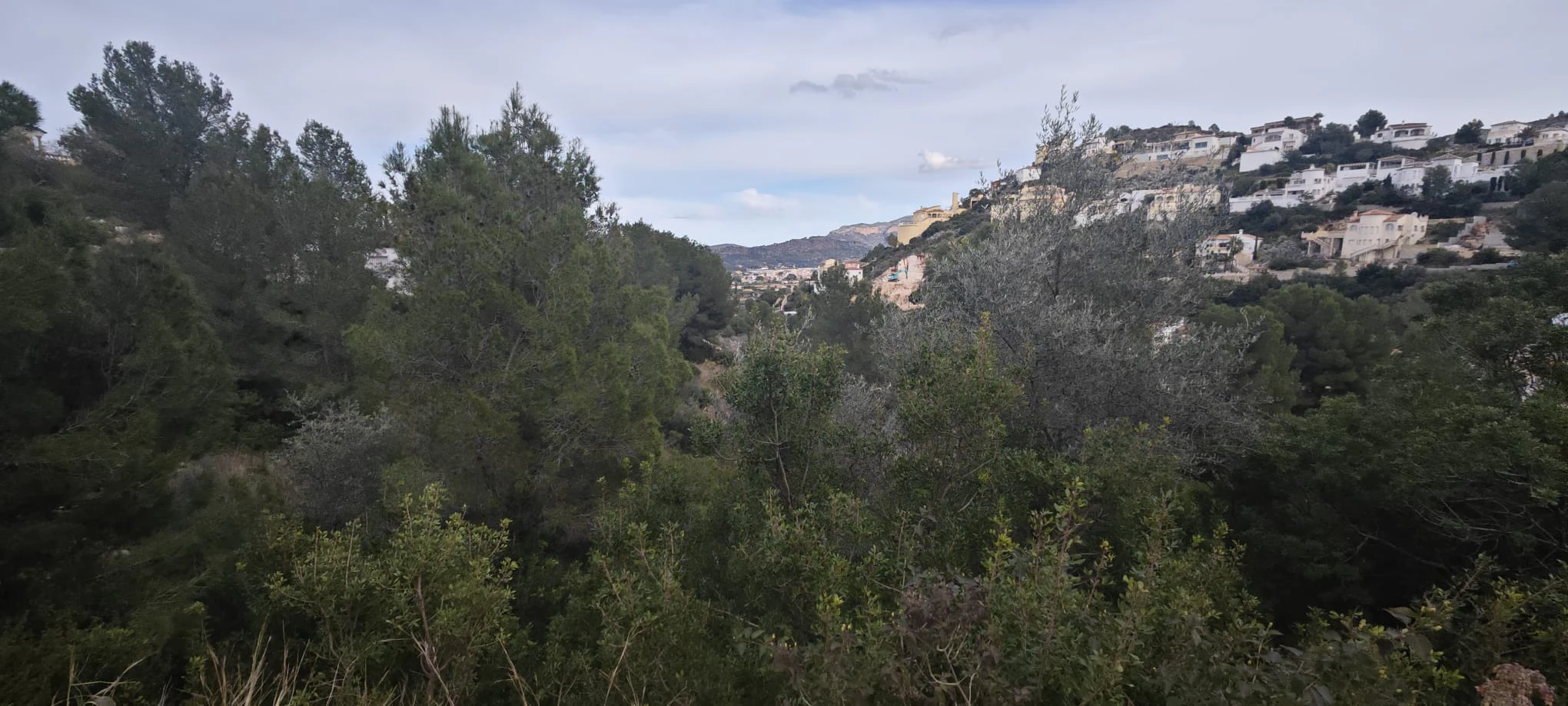 PARCELA URBANIZABLE DE 1.061m2 EN MONTESOLANA "PEDREGUER"