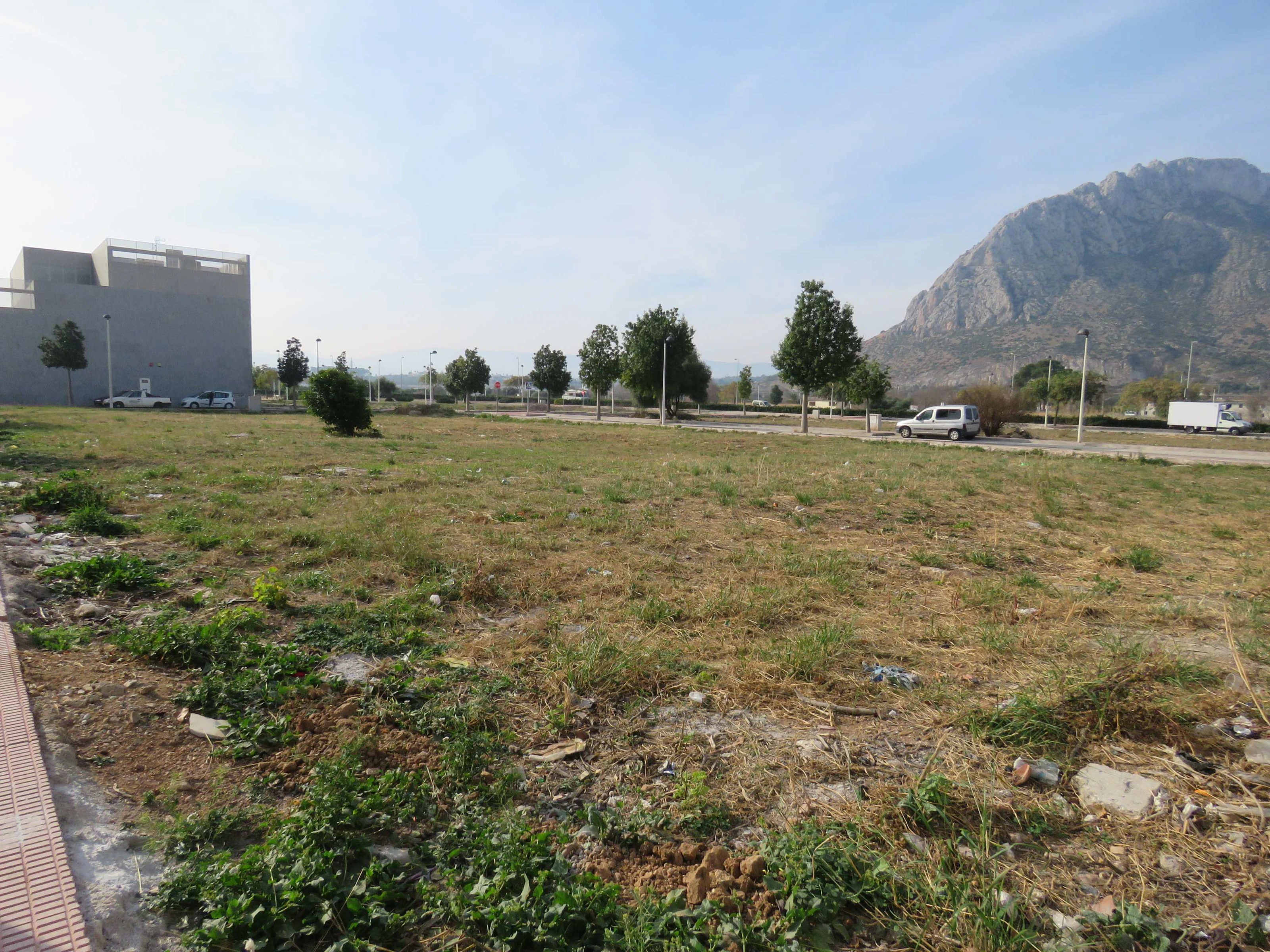 SOLAR EDIFICABLE EN EL VERGER