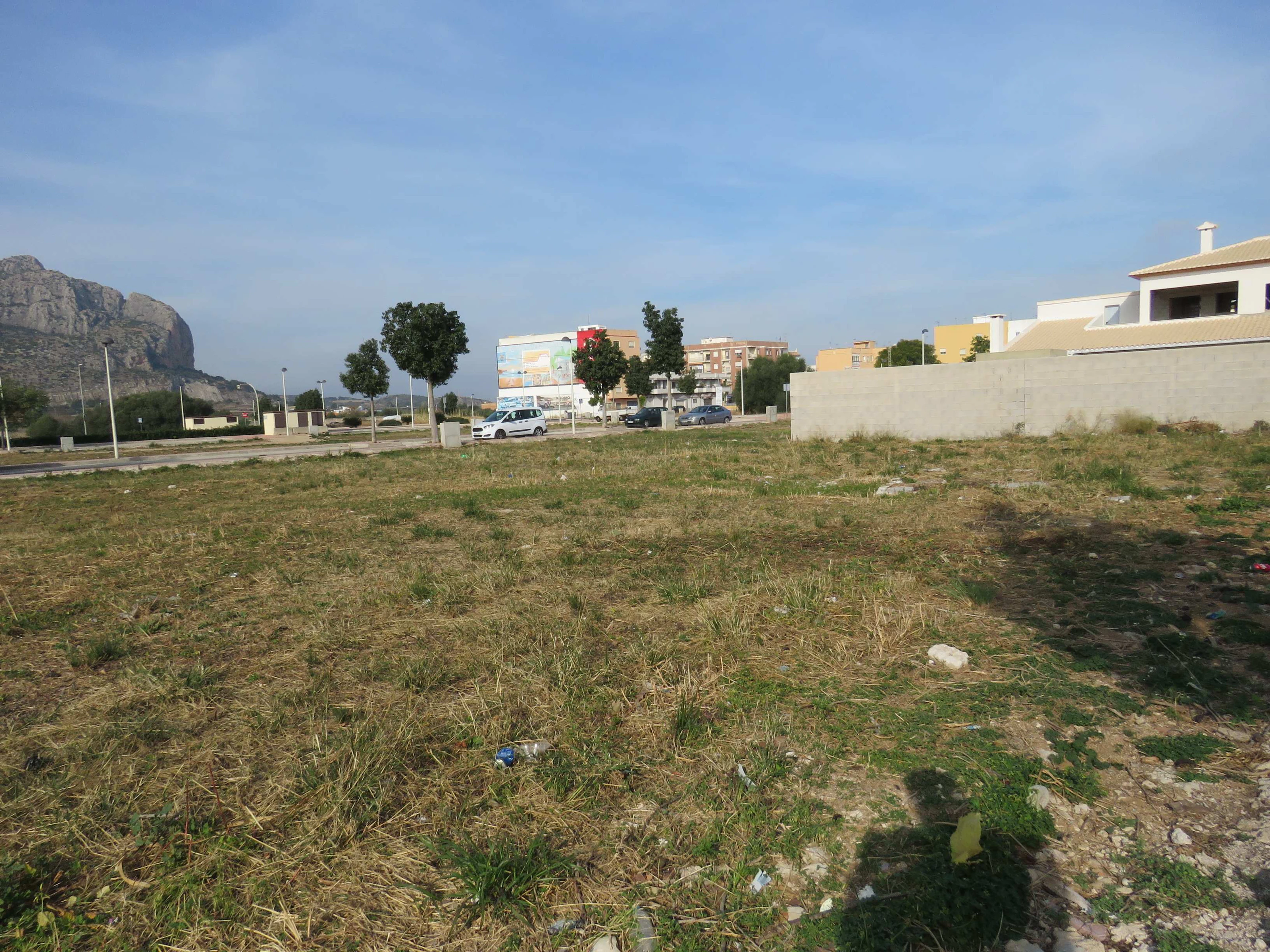 SOLAR EDIFICABLE EN EL VERGER