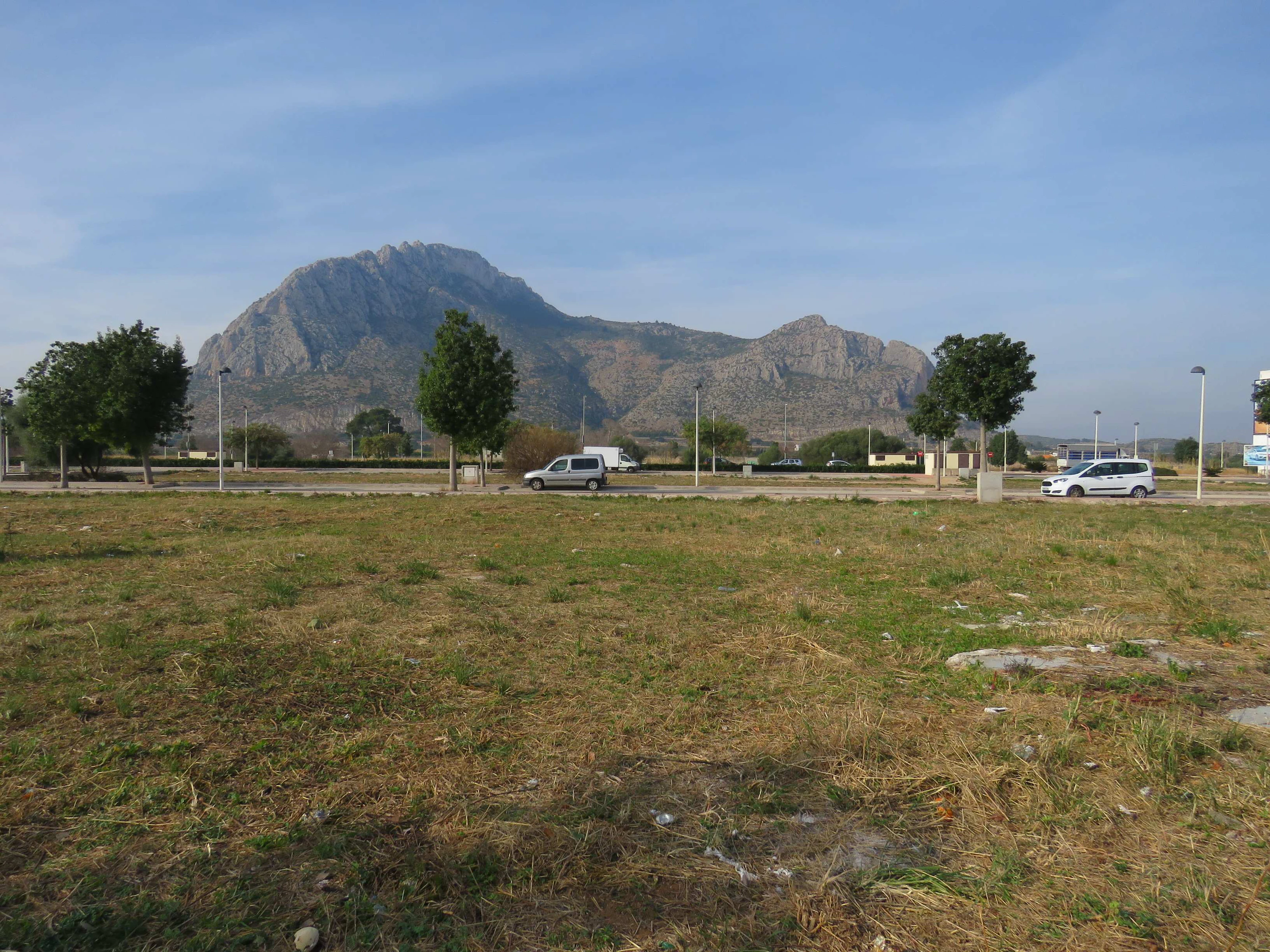 SOLAR EDIFICABLE EN EL VERGER