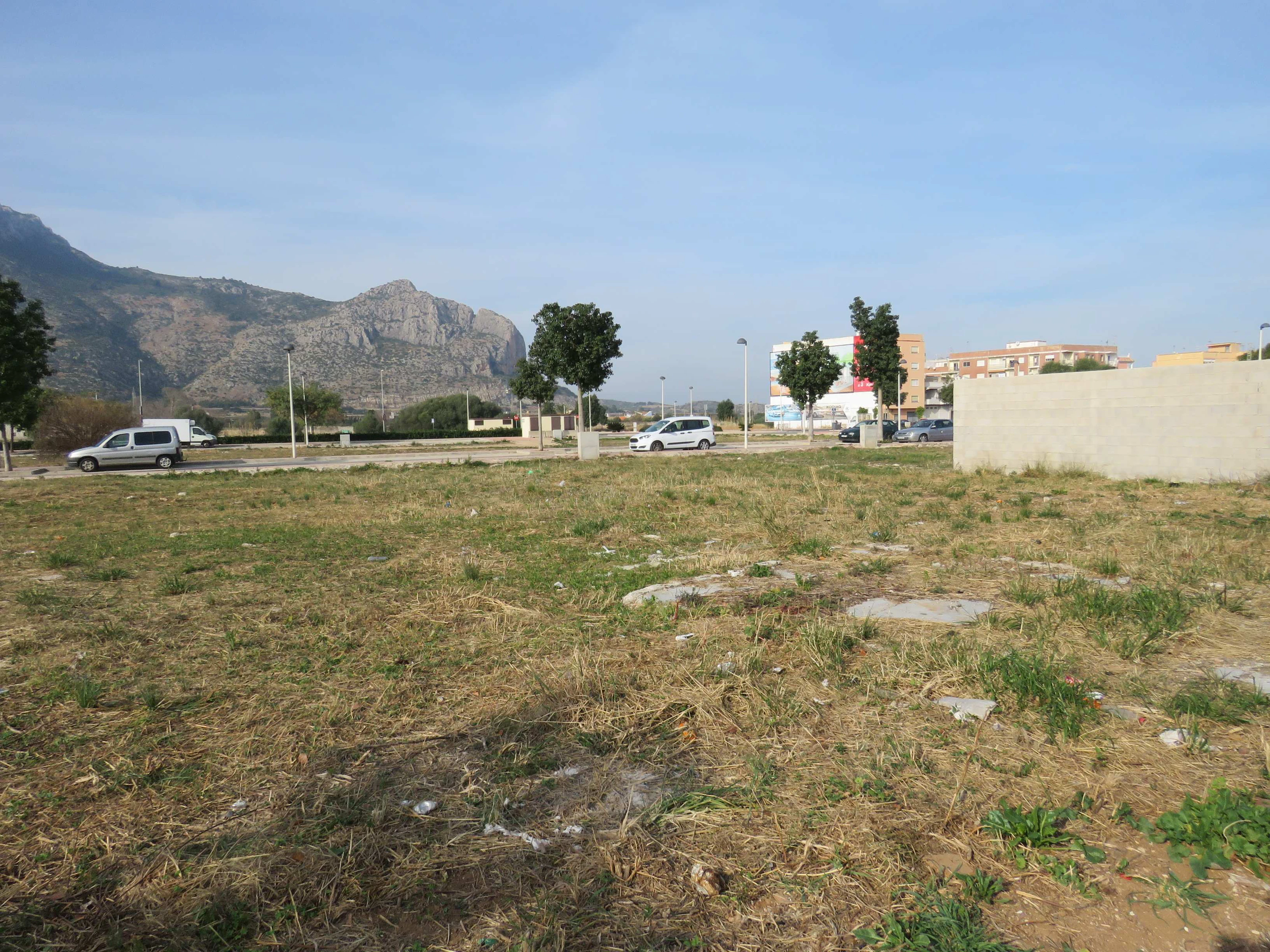 SOLAR EDIFICABLE EN EL VERGER