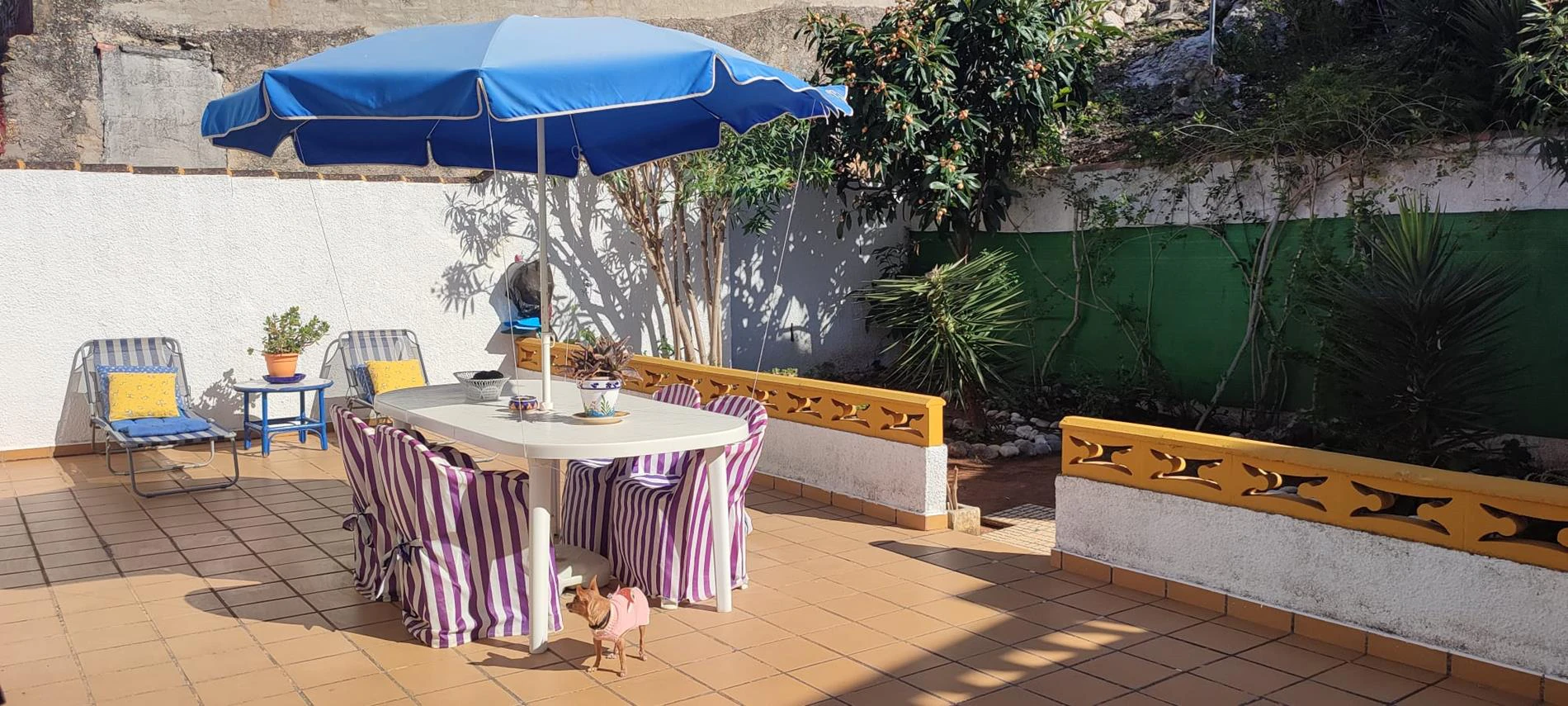 CASA DE PUEBLO EN RÁFOL DE LA ALMUNIA