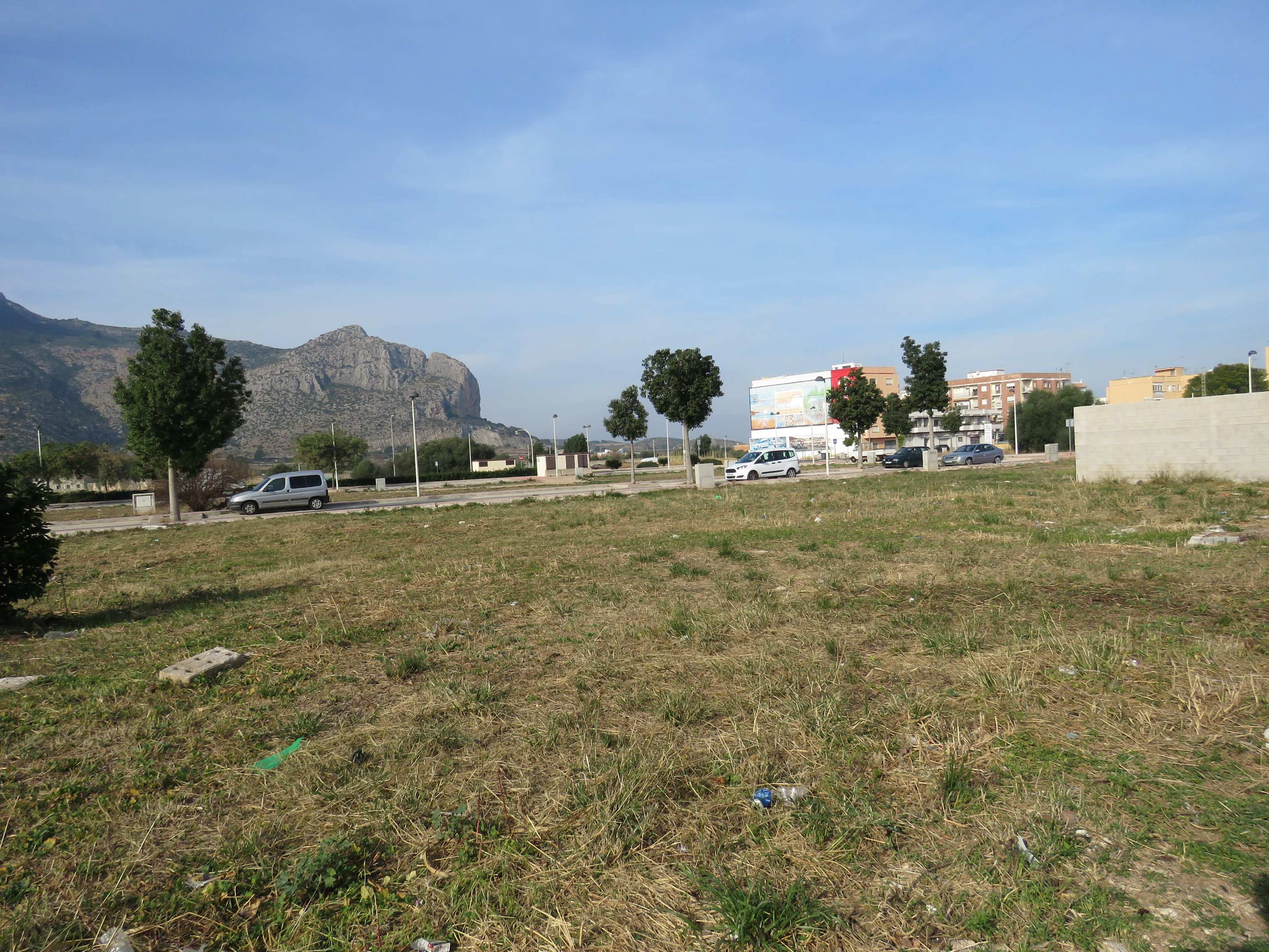 SOLAR EDIFICABLE EN EL VERGER