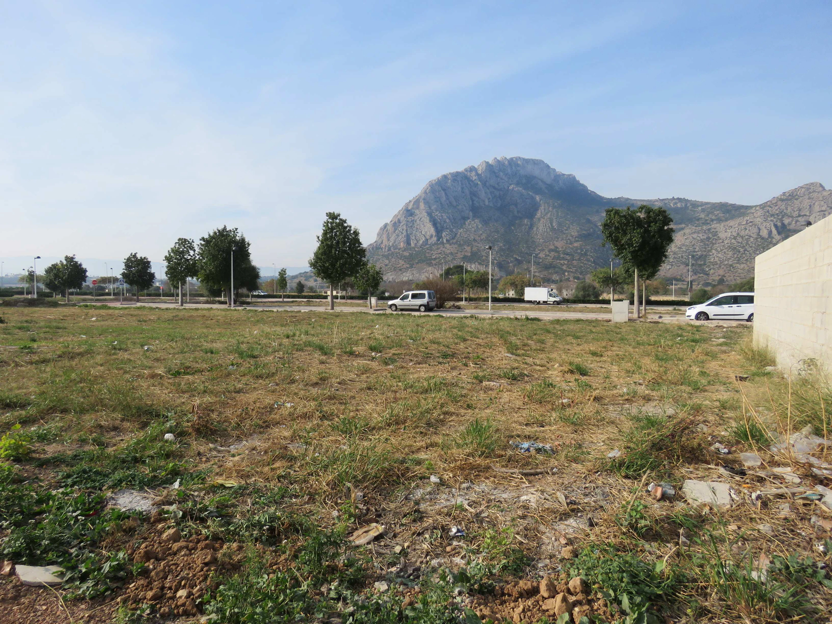 SOLAR EDIFICABLE EN EL VERGER