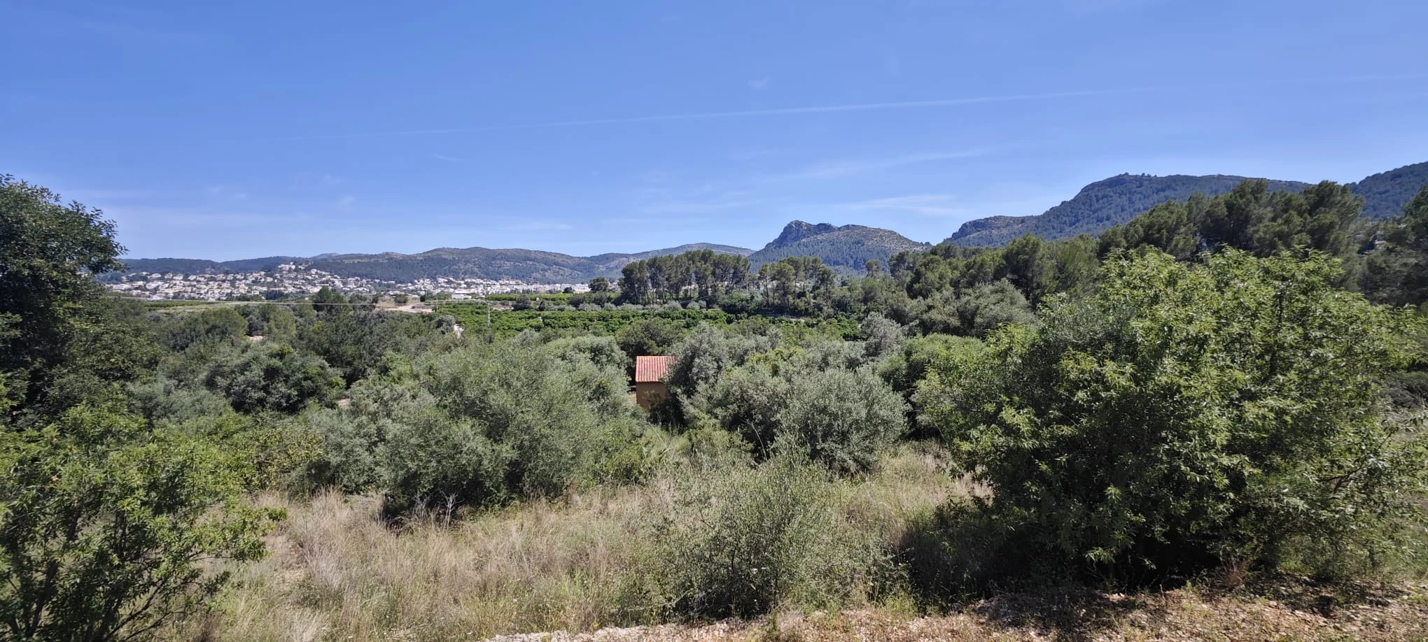 Plot на продажа в Tormos, Alicante