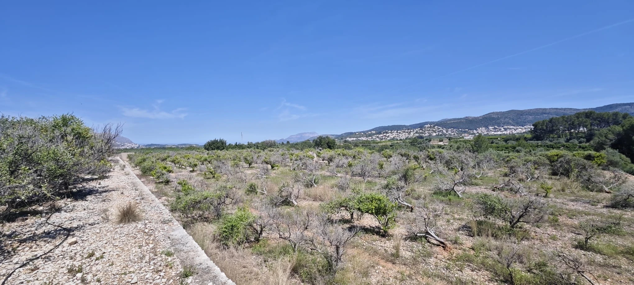 Plot на продажа в Tormos, Alicante