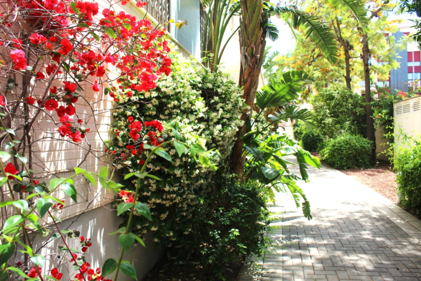 Exclusive duplex penthouse on Km 1 of Las Marinas, Dénia
