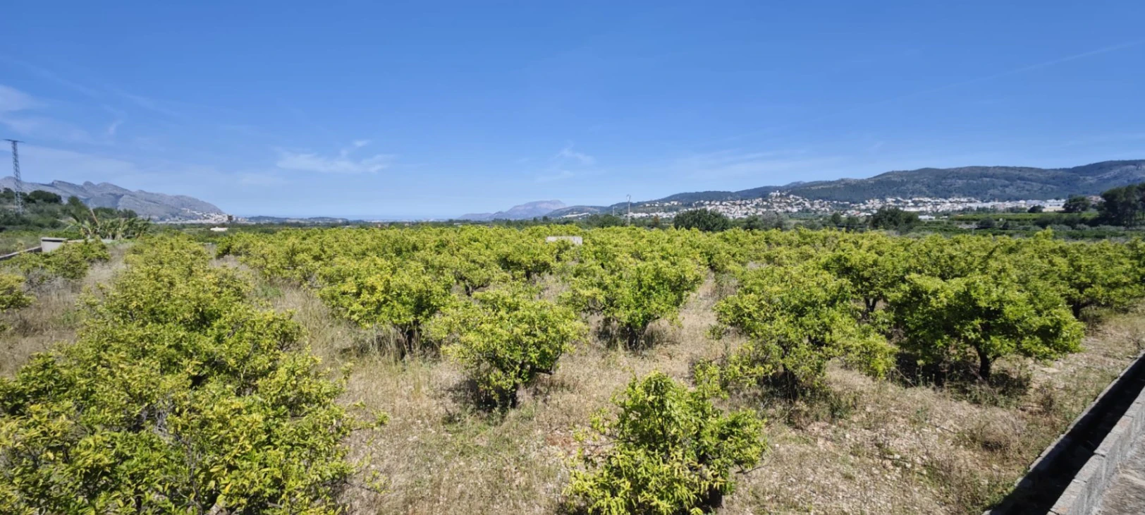 Plot на продажа в Tormos, Alicante