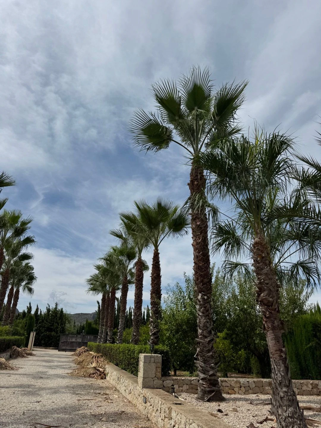 Villa на продажа в Pedreguer, Alicante