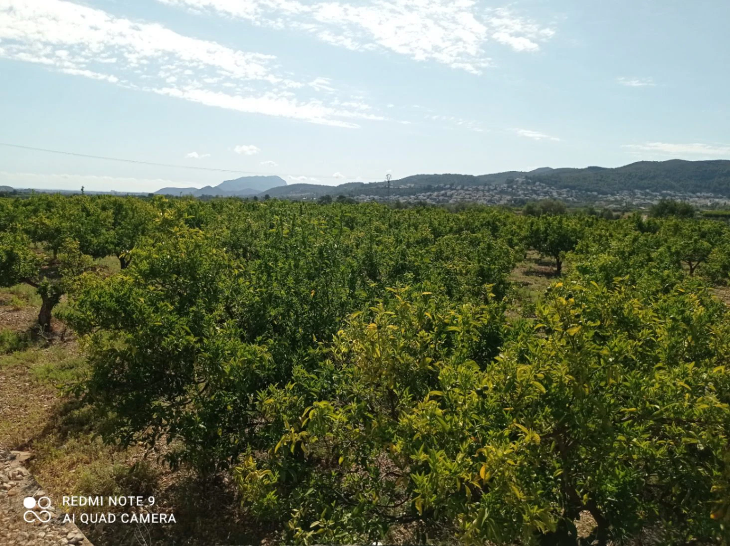 Plot на продажа в Tormos, Alicante