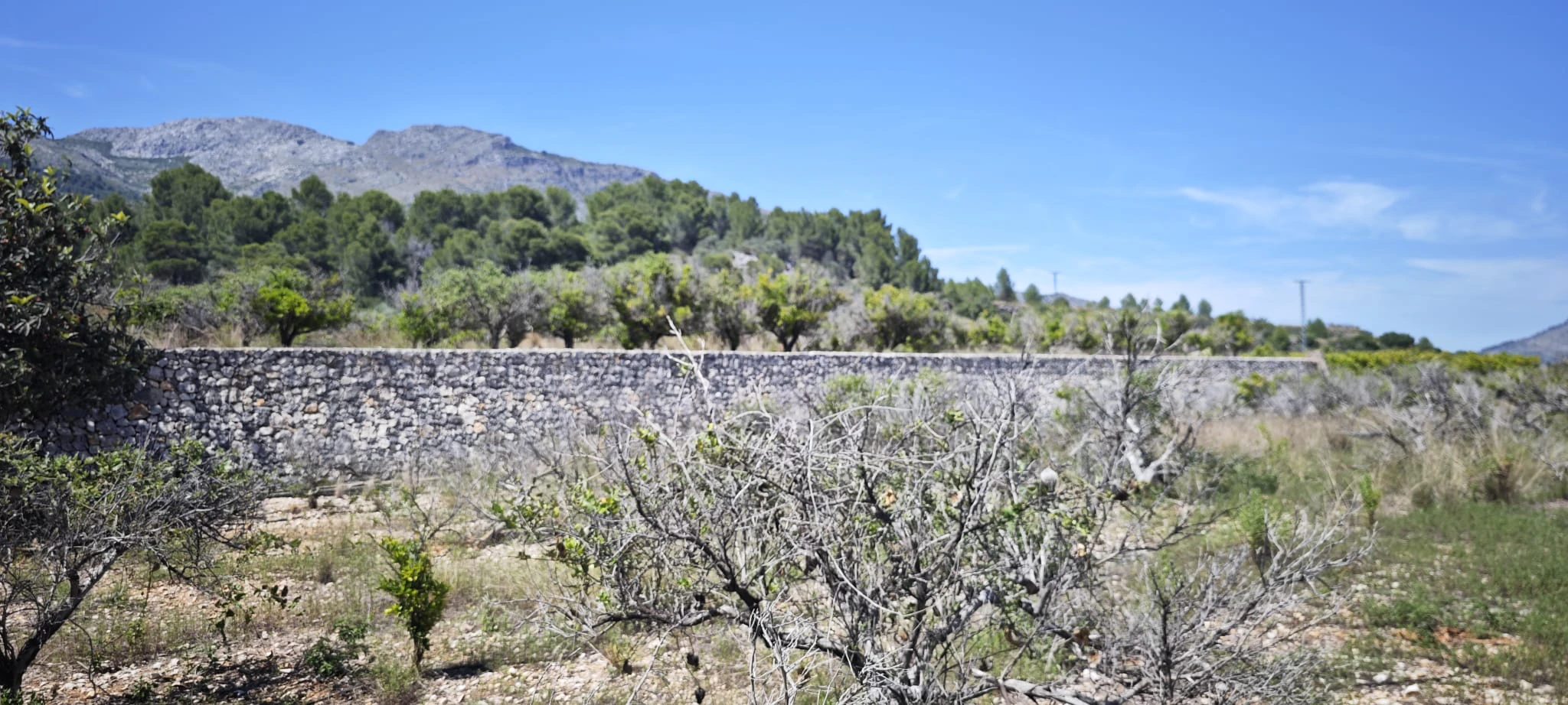 Plot на продажа в Tormos, Alicante