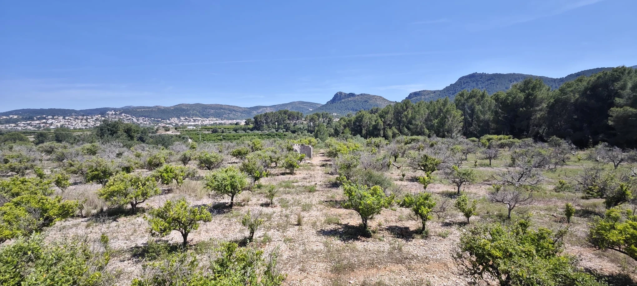 Plot на продажа в Tormos, Alicante