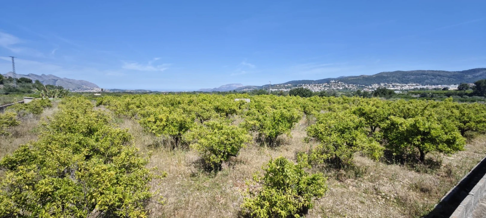 Plot на продажа в Tormos, Alicante