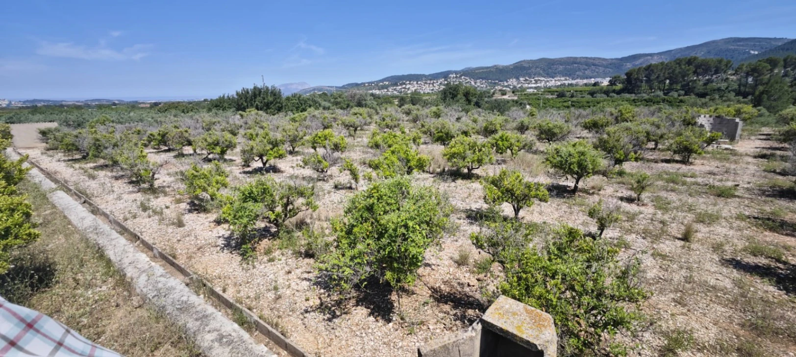 Plot на продажа в Tormos, Alicante