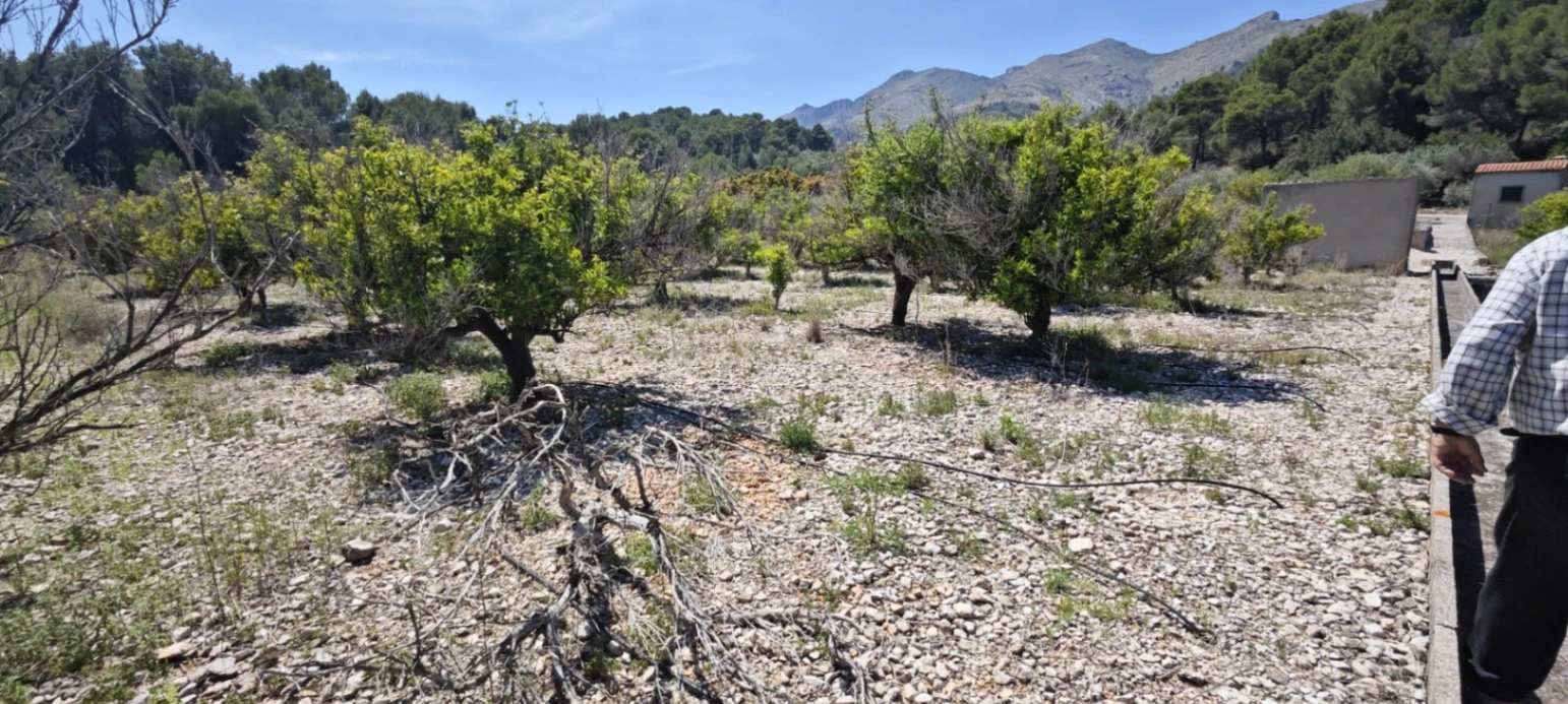 Plot на продажа в Tormos, Alicante