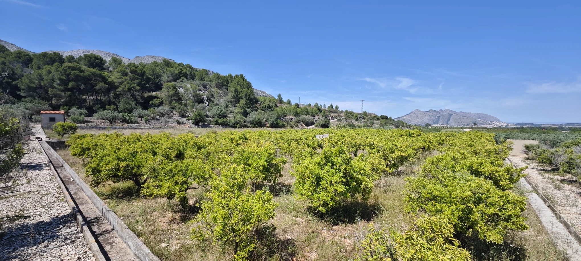 Plot на продажа в Tormos, Alicante