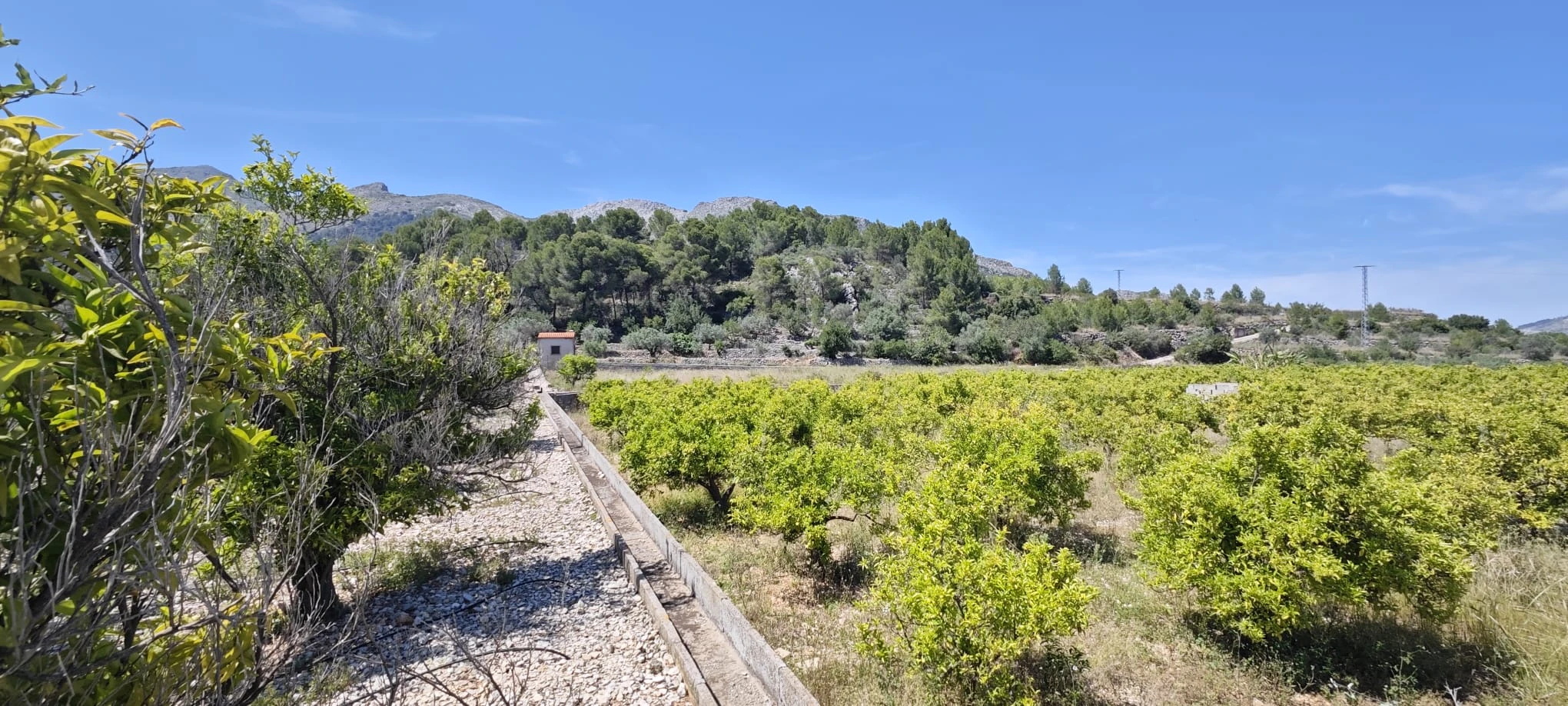 Plot на продажа в Tormos, Alicante