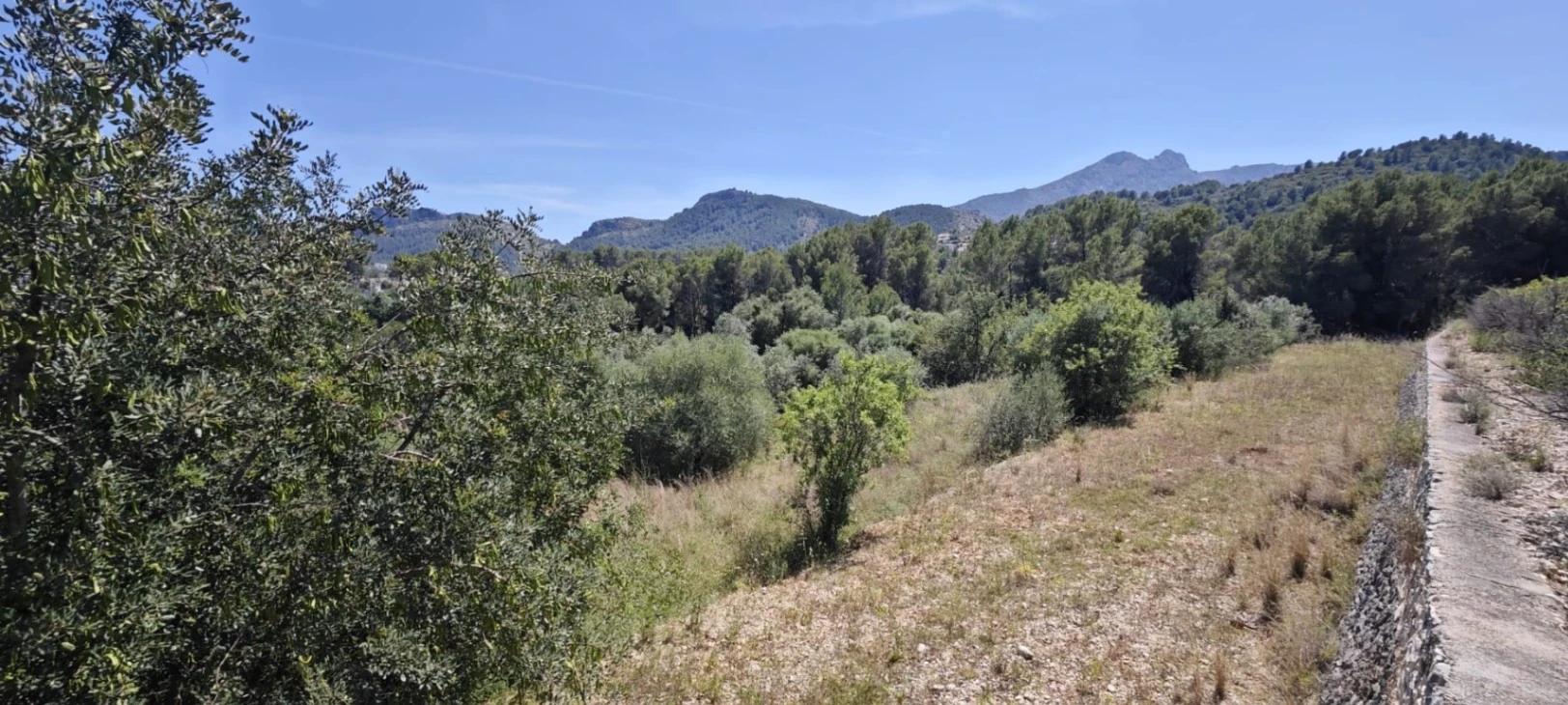 Plot на продажа в Tormos, Alicante