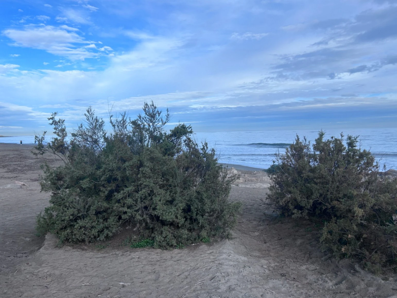 Ático con vistas al mar junto a la playa del Raset y el puerto de Dénia