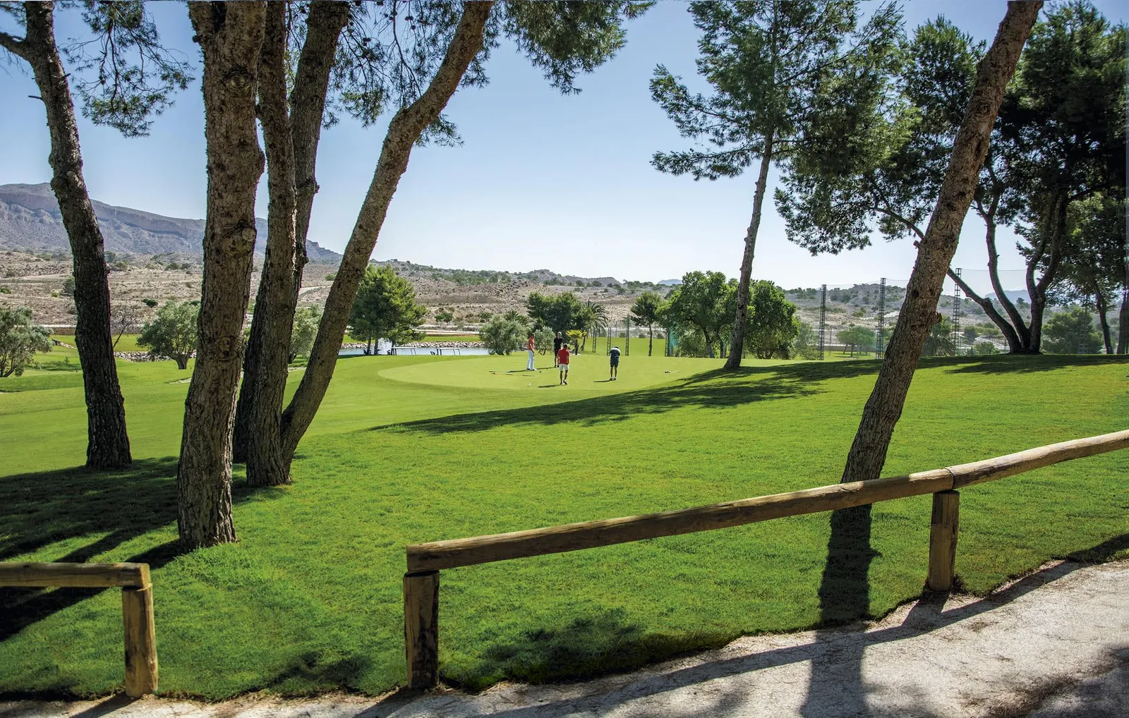 Ground-floor en Venta en Monforte del Cid