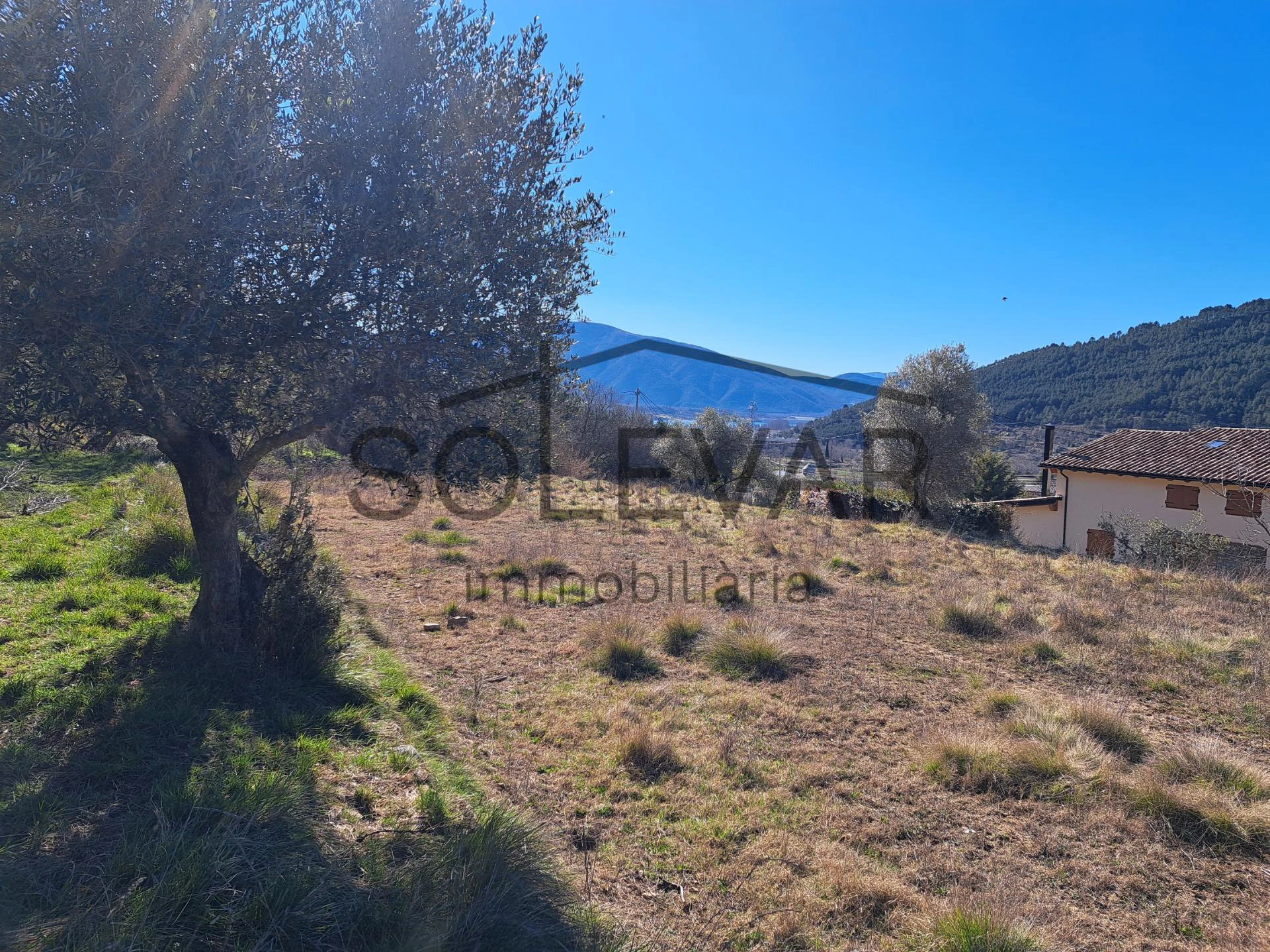 FINCA RÚSTICA EN LA POBLA DE SEGUR