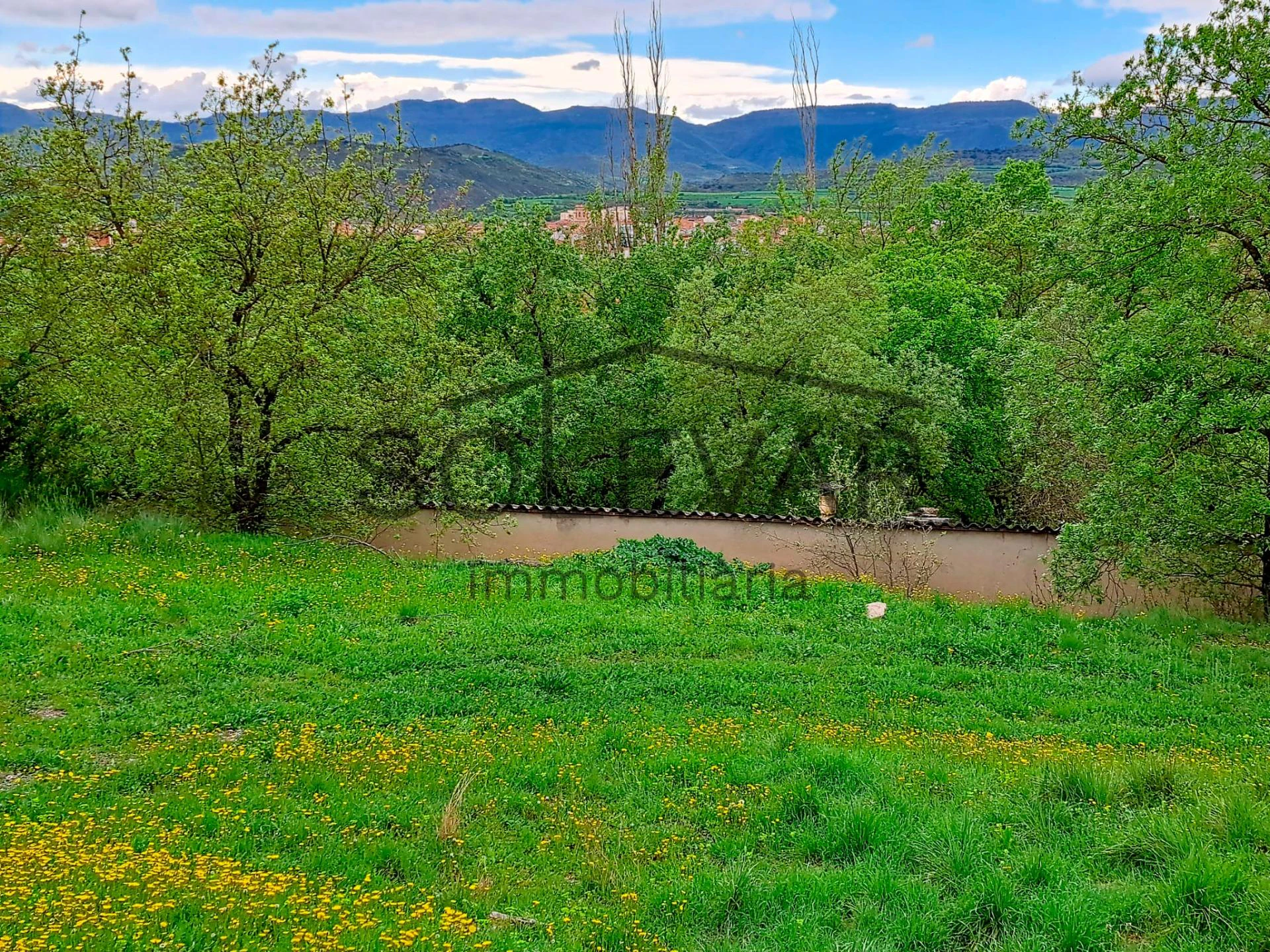 FINCA EN ELS NERETS, TREMP