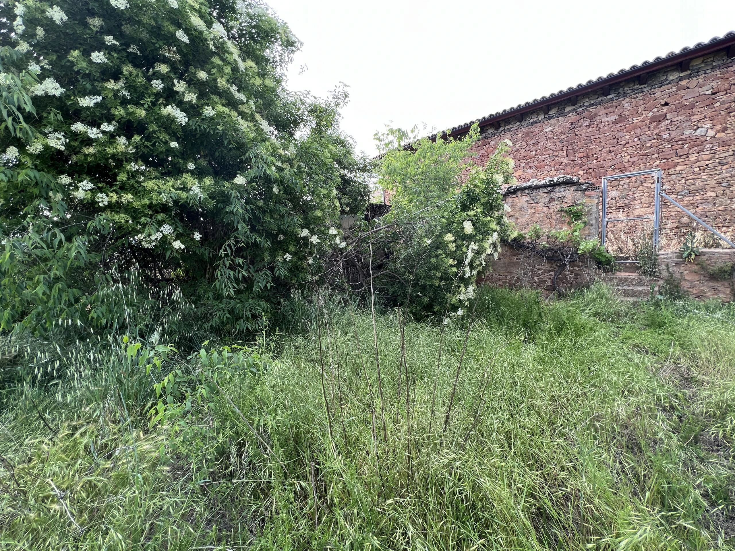 URBAN GARDEN IN VILAMITJANA