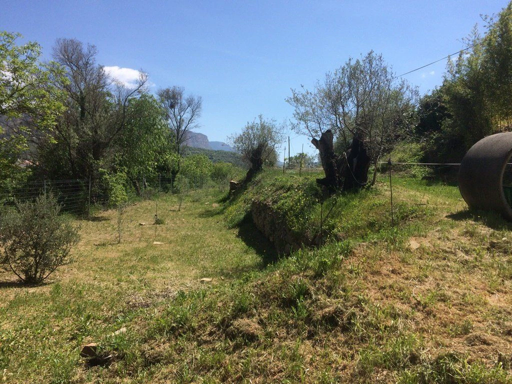 FINCA RÚSTICA A LA POBLA DE SEGUR