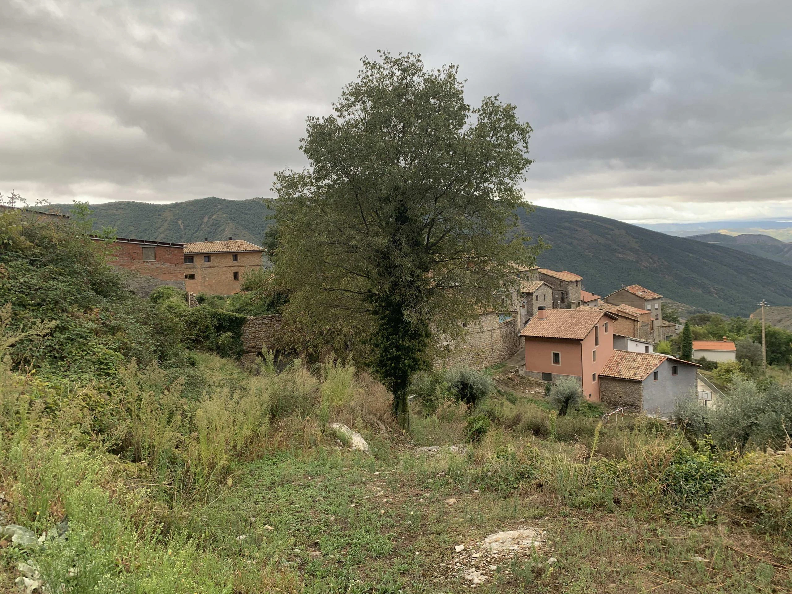 CASA, CUADRA Y CORRAL A LA VENTA EN PESSONADA