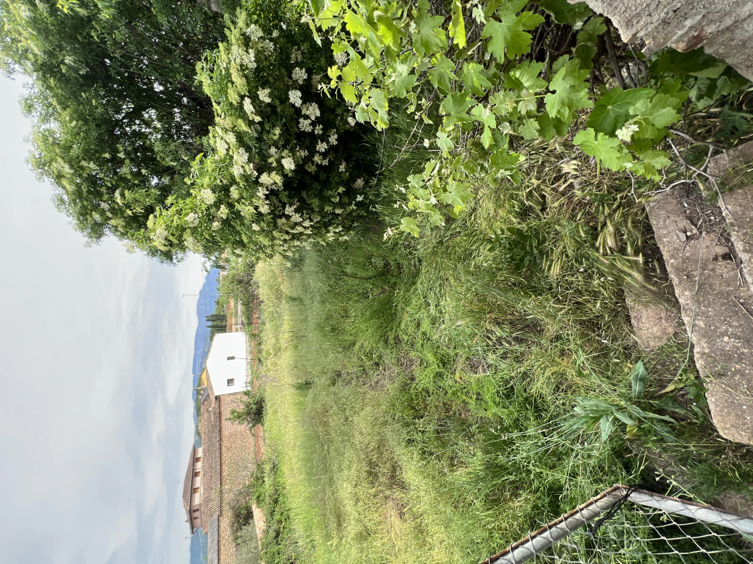 URBAN GARDEN IN VILAMITJANA