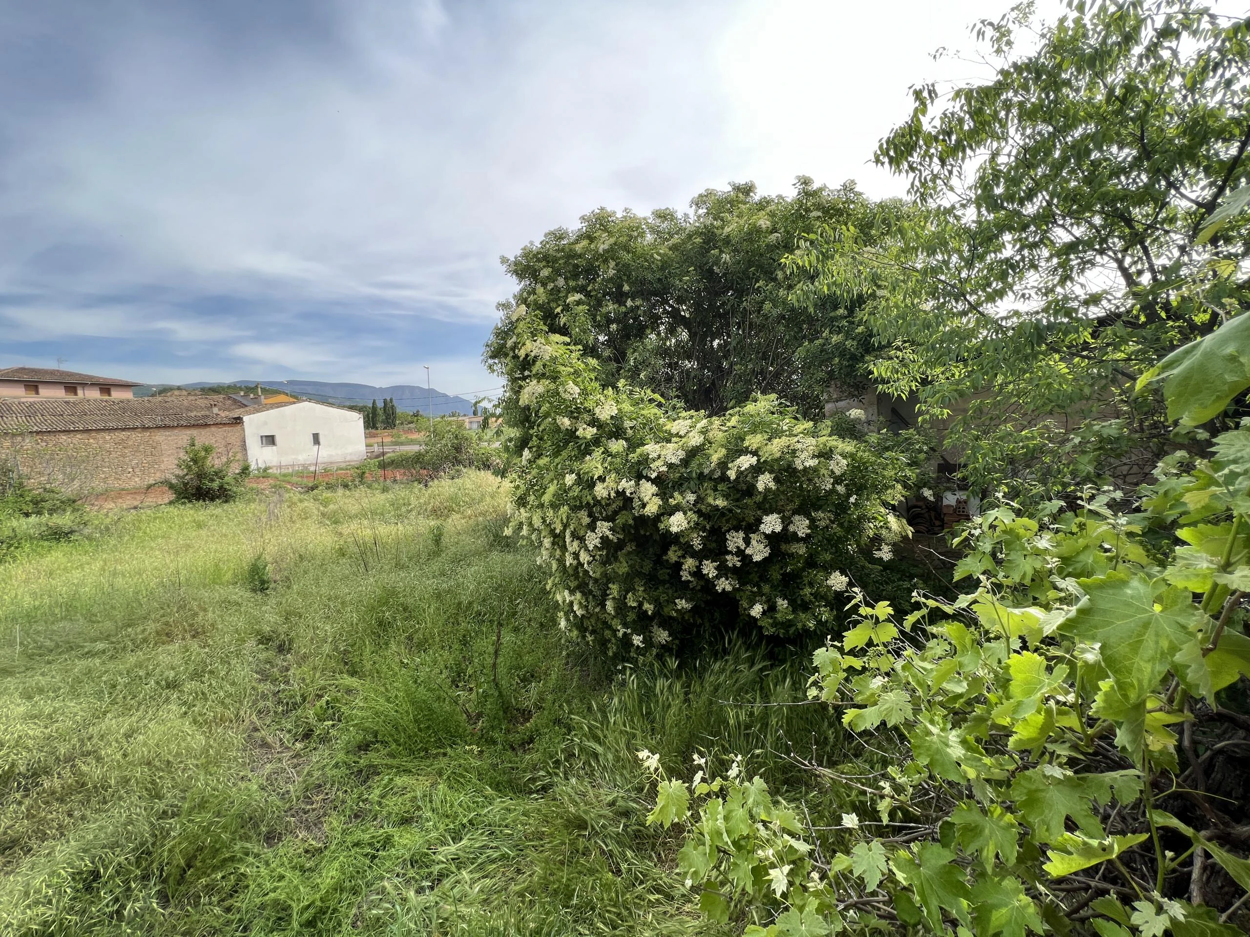 URBAN GARDEN IN VILAMITJANA