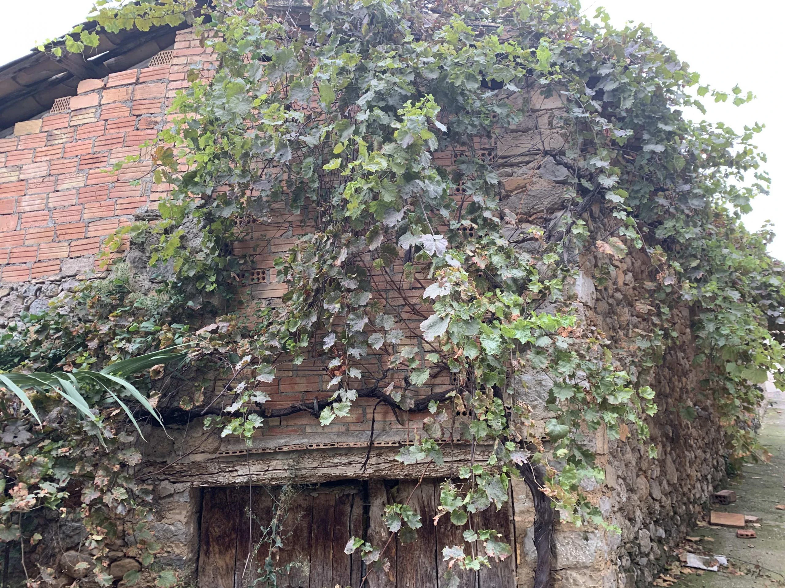 CASA, CUADRA Y CORRAL A LA VENTA EN PESSONADA