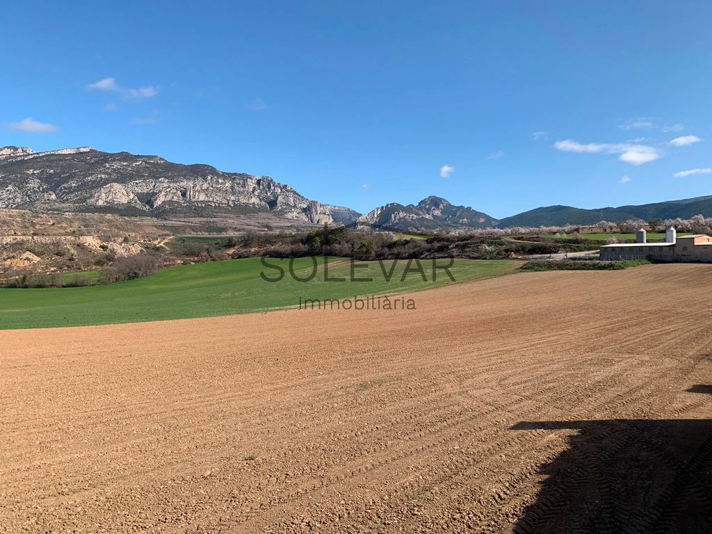 TERRENO CON MUCHAS POSIBILIDADES EN SANT ROMÀ