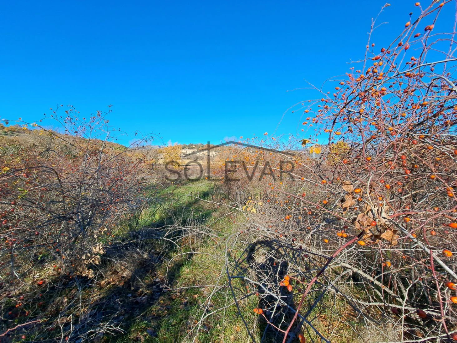 FINCA DELANTE DEL PANTANO DE SANT ANTONI