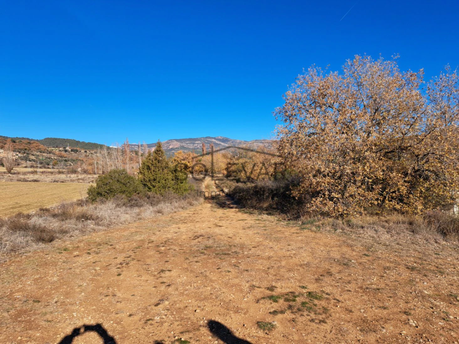 FINCA DELANTE DEL PANTANO DE SANT ANTONI