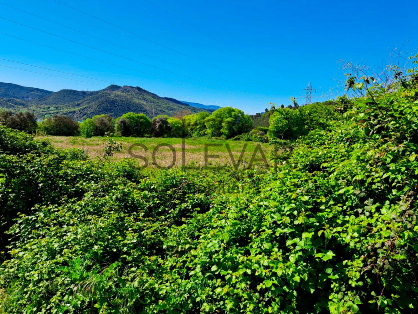 TERRENO RÚSTICO EN SALÀS DE PALLARS