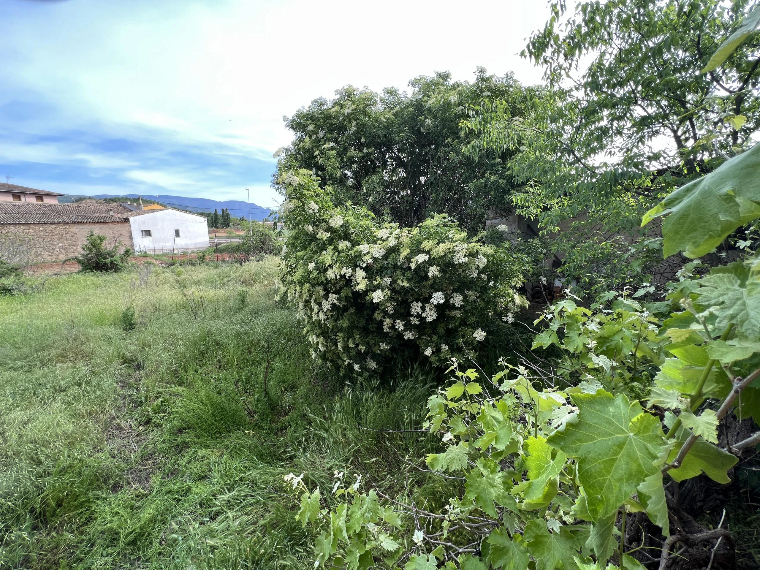 URBAN GARDEN IN VILAMITJANA