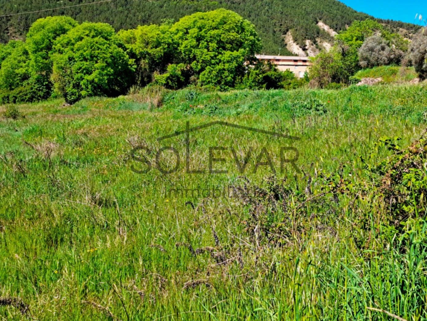 TERRENO RÚSTICO EN SALÀS DE PALLARS