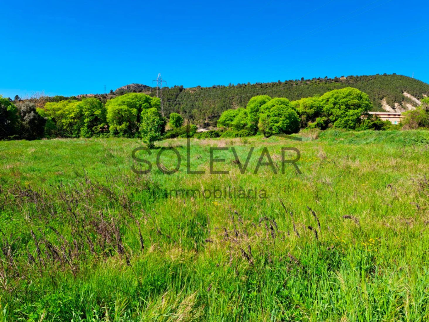 TERRENO RÚSTICO EN SALÀS DE PALLARS