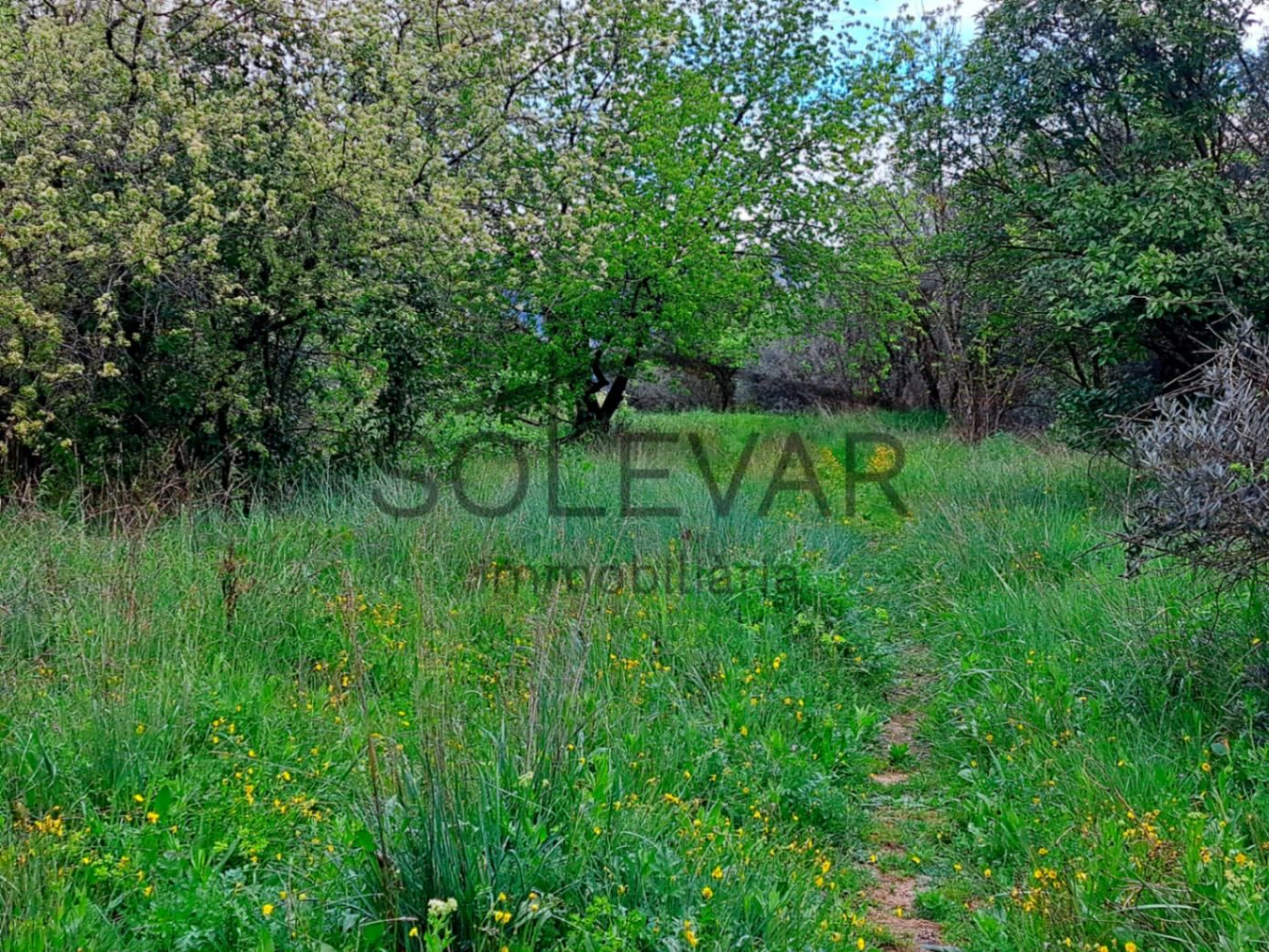 TERRENO URBANO EN SANT JOAN DE VINYAFRESCAL, PALLARS JUSSÀ