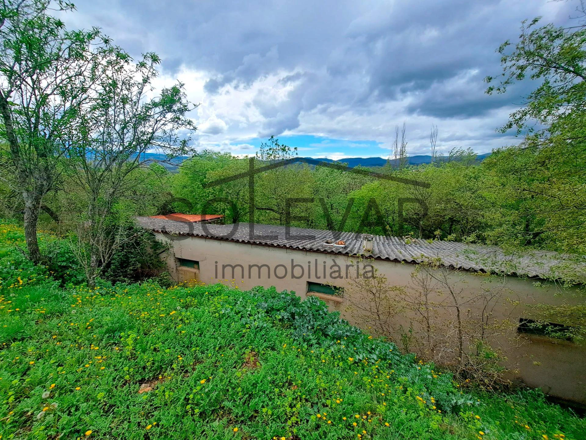 FINCA EN ELS NERETS, TREMP