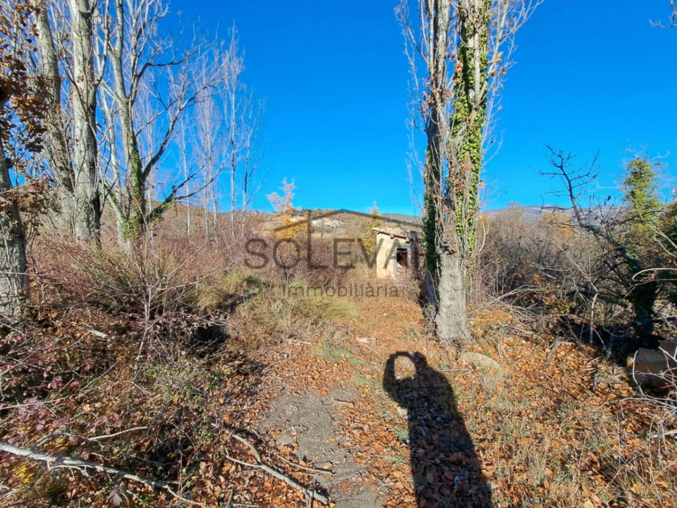 FINCA DELANTE DEL PANTANO DE SANT ANTONI