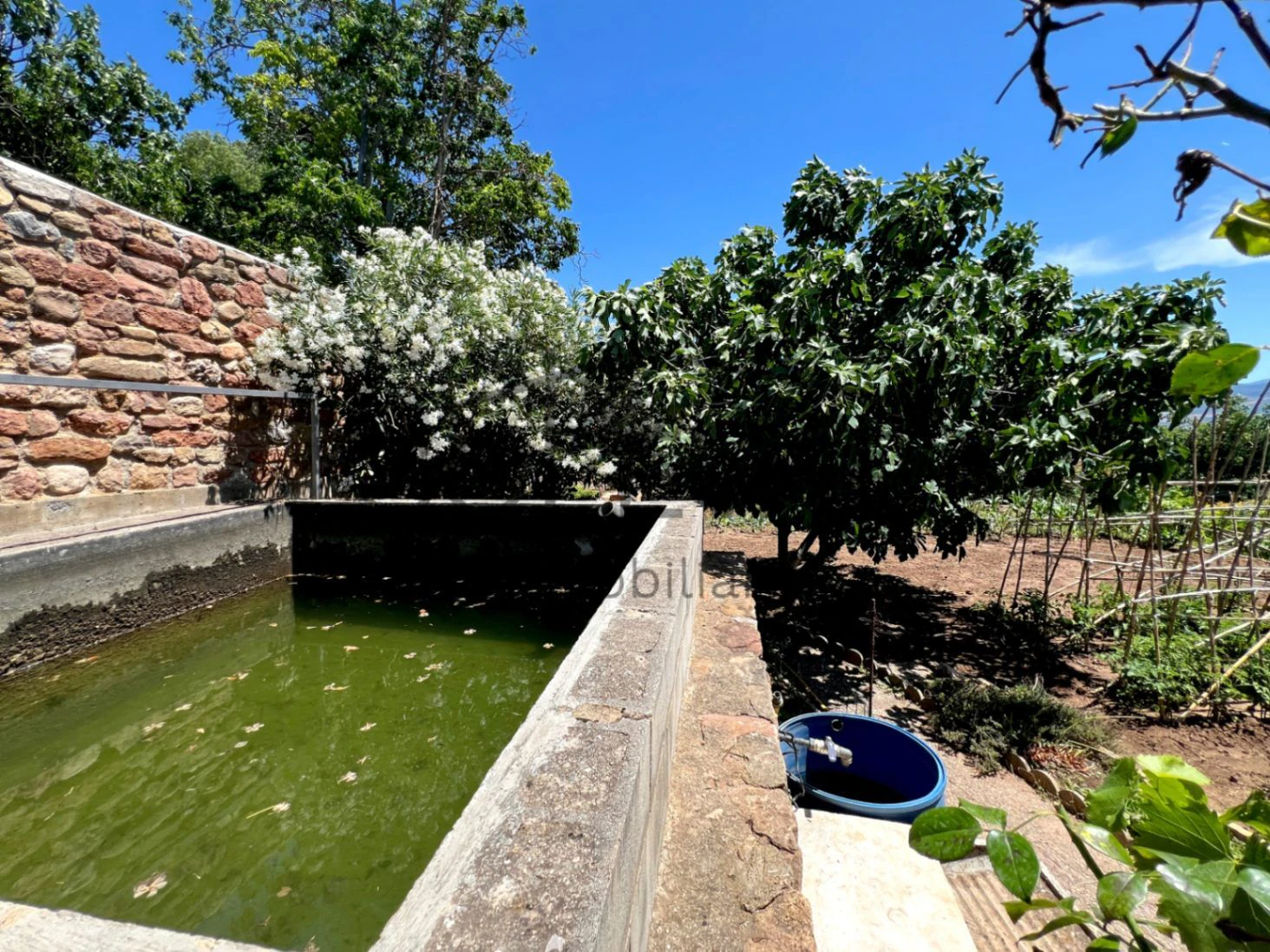 GRAN HUERTO URBANO EN TALARN