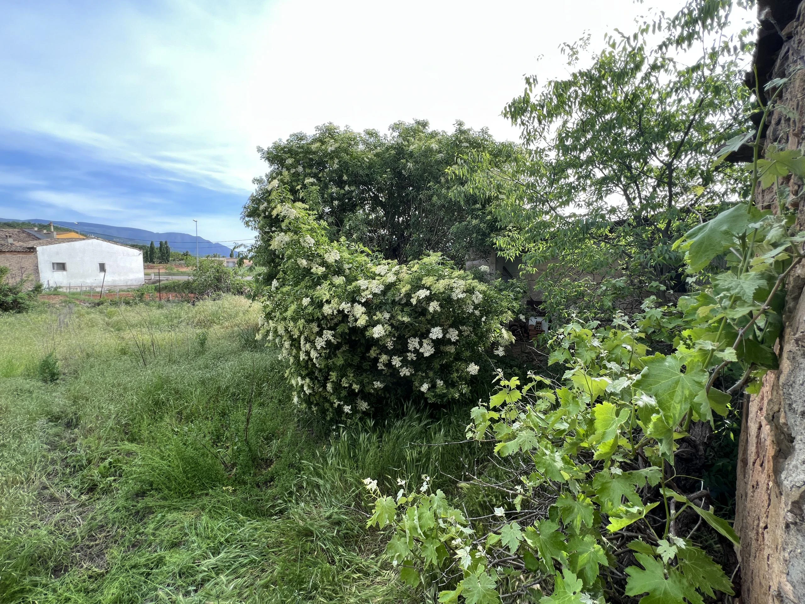 URBAN GARDEN IN VILAMITJANA