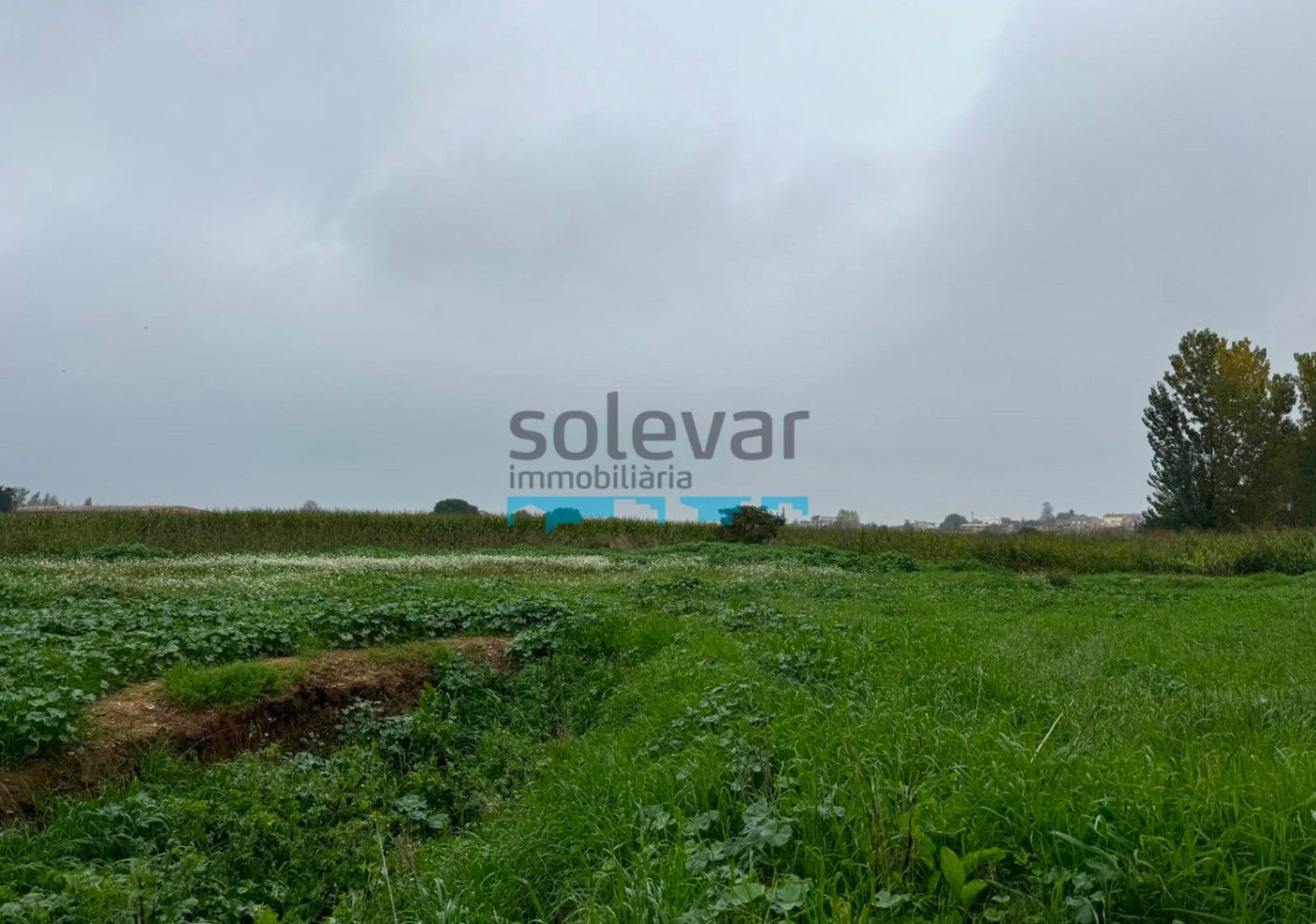 TERRENO URBANO EN BALAGUER
