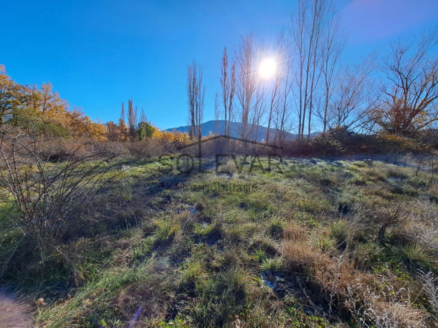 FINCA DELANTE DEL PANTANO DE SANT ANTONI